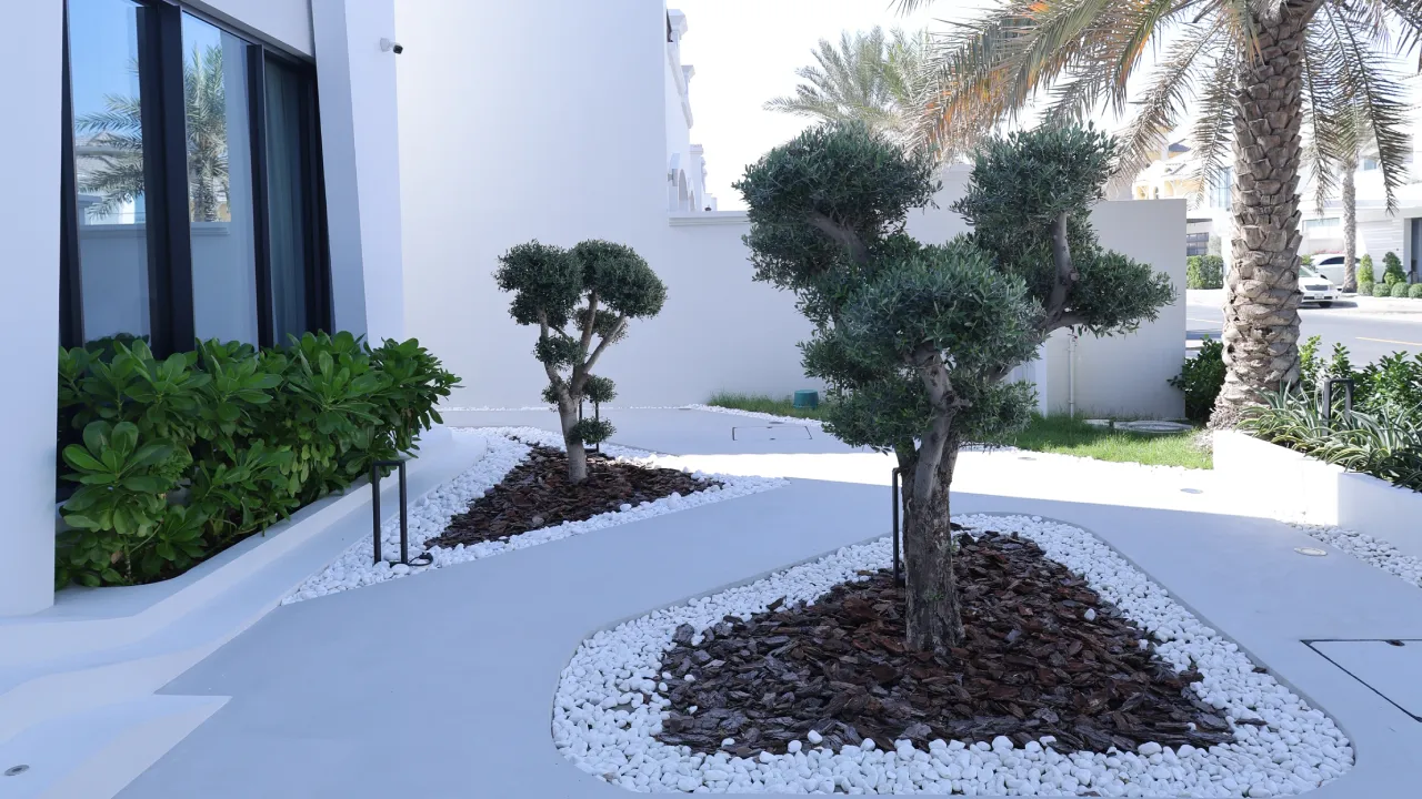 Landscaped entrance of a Dubai Palm villa renovation with shaped trees, white gravel, dark mulch, and clean modern paving
