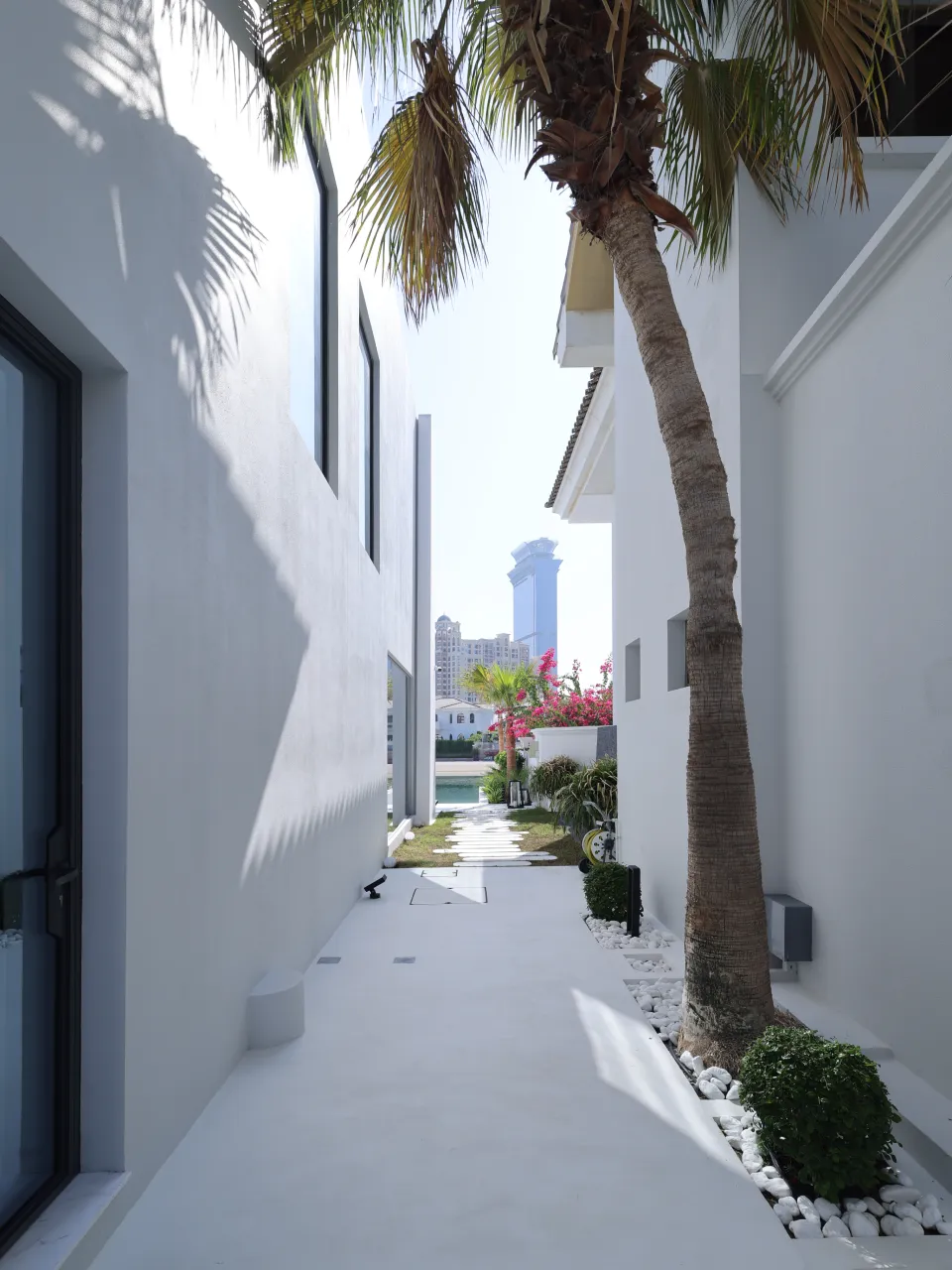 Modern side passage with pale paving and retained palm after villa extension